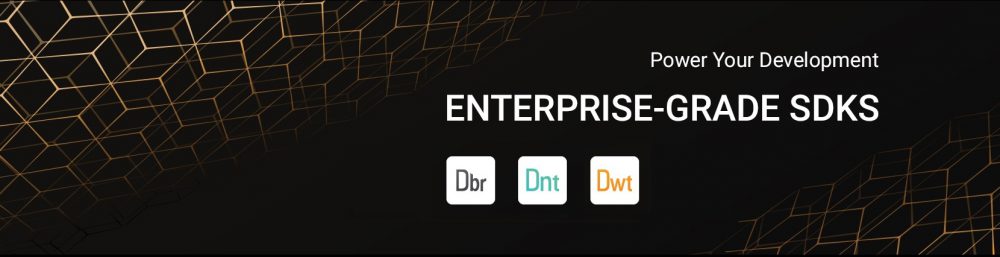 SDK和API有什么區別？以及認識Dynamsoft SDK產品！