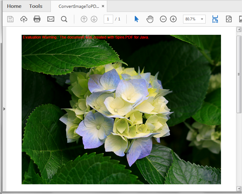 如何用Java語言將圖像轉換為PDF？Spire.PDF for Java輕松搞定！