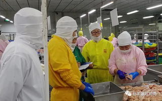 切磋技藝 提升專業(yè)水平—石羊涇河食品公司成功舉辦技能比武活動(dòng)